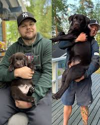 Roshtein - Suosikki Stake-bannerimme